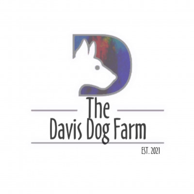 The Davis Dog Farm Inc. - Pet Shelter and Rescue in Grantville, Pennsylvania