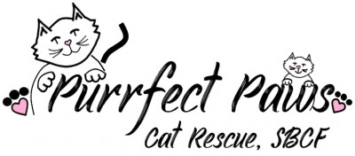 Purrfect Paws Cat Rescue, SBCF - Pet Shelter and Rescue in DuBois, Pennsylvania