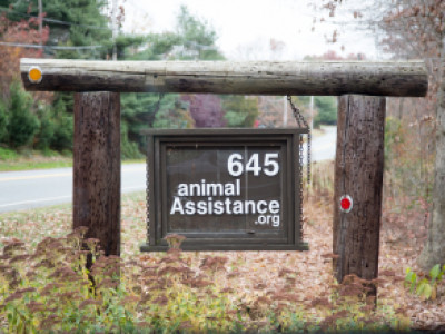 Animal Assistance - Pet Shelter and Rescue in Richmondale, Pennsylvania