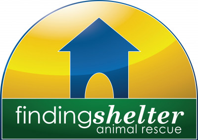 Finding Shelter - Pet Shelter and Rescue