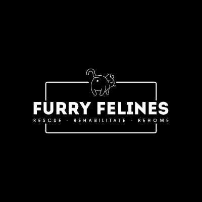 Furry Felines - Pet Shelter and Rescue in Jeannette, Pennsylvania