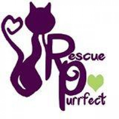 Rescue Purrfect - Pet Shelter and Rescue
