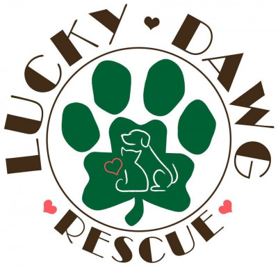 Lucky Dawg Animal Rescue, Inc. - Pet Shelter and Rescue in Avondale, Pennsylvania