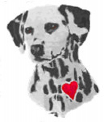 Willing Hearts Dalmatian Rescue - Pet Shelter and Rescue in Royersford, Pennsylvania