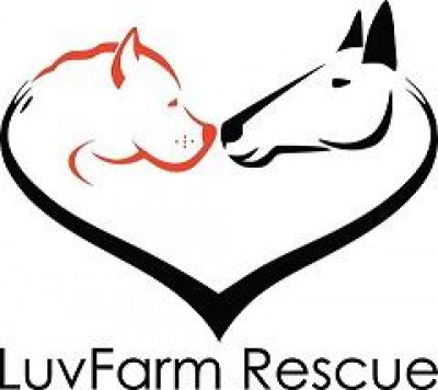 LuvFarm Rescue - Pet Shelter and Rescue in Perkasie, Pennsylvania