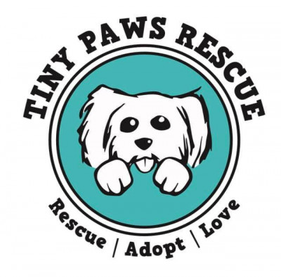 Tiny Paws Rescue Inc - Pet Shelter and Rescue in Cherry Hill Township, New Jersey