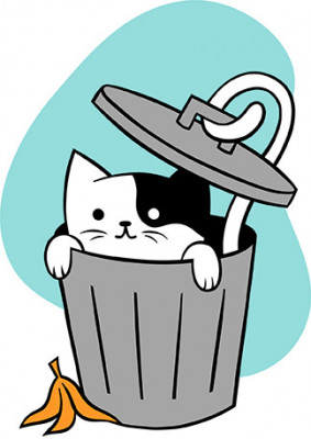 Trash Cat Rescue - Pet Shelter and Rescue in Gibsonia, Pennsylvania