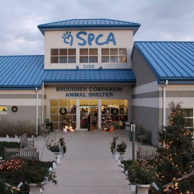 York County SPCA - Pet Shelter and Rescue in York, Pennsylvania
