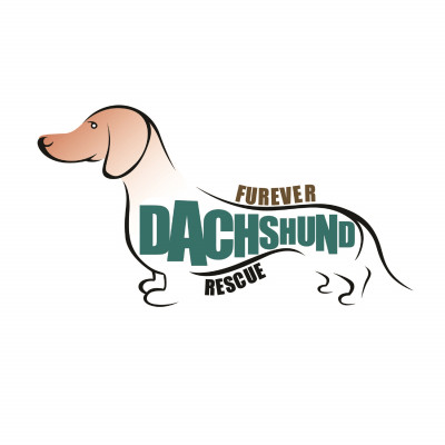 Furever Dachshund Rescue - Pet Shelter and Rescue in Plainfield, Connecticut