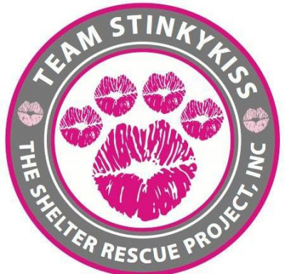 Team Stinkykiss - Pet Shelter and Rescue in Aiken, South Carolina