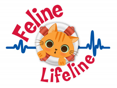 Feline Lifeline For South Carolina - Pet Shelter and Rescue in Powdersville, South Carolina