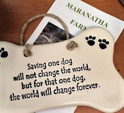 Maranatha Farm - Pet Shelter and Rescue in Ridgeland, South Carolina
