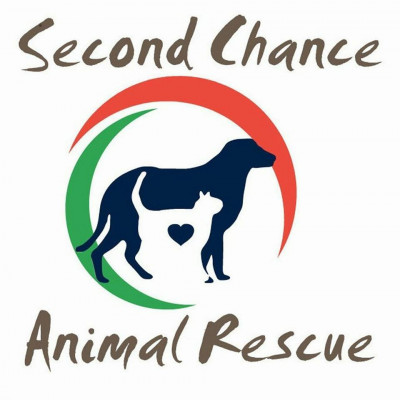 Second Chance Animal Rescue - Pet Shelter and Rescue in Georgetown, South Carolina