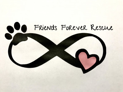 Friends Forever Rescue - Pet Shelter and Rescue in Longs, South Carolina