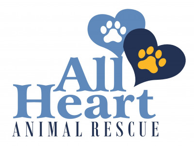 All Heart Animal Rescue - Pet Shelter and Rescue in Memphis, Tennessee
