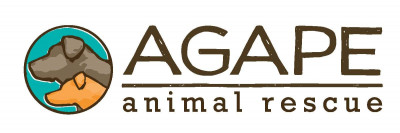 Agape Animal Rescue - Pet Shelter and Rescue in Nashville, Tennessee