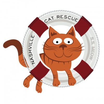 Nashville Cat Rescue - Pet Shelter and Rescue in Nashville, Tennessee
