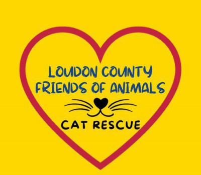Loudon County Friends Of Animals - Pet Shelter and Rescue in Loudon, Tennessee
