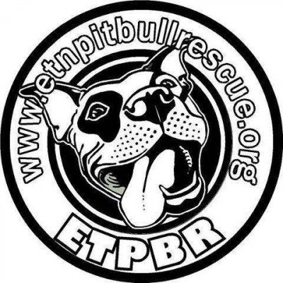 East TN  Pit Bull Rescue - Pet Shelter and Rescue in Powell, Tennessee