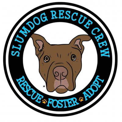 Slumdog Rescue Crew - Pet Shelter and Rescue in Andersonville, Tennessee
