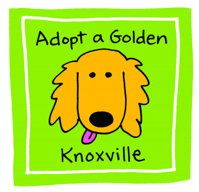Adopt A Golden Knoxville - Pet Shelter and Rescue in Knoxville, Tennessee
