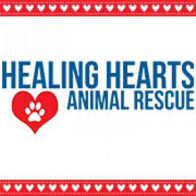 Healing Hearts Animal Rescue - Pet Shelter and Rescue in Nashville, Tennessee