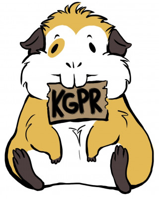 Knoxville Guinea Pig Rescue - Pet Shelter and Rescue in Knoxville, Tennessee