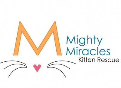 Mighty Miracles Kitten Rescue - Pet Shelter and Rescue in Mt. Juliet, Tennessee