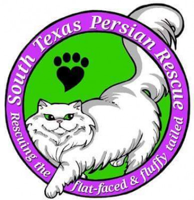 South Texas Persian Rescue - Pet Shelter and Rescue in Converse, Texas