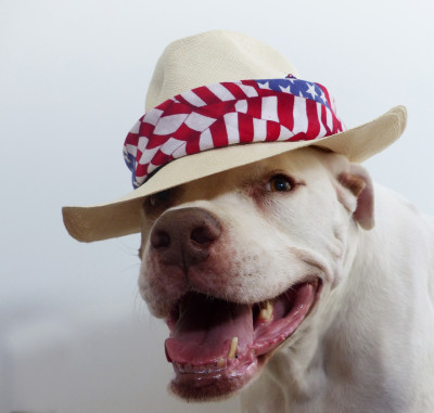 St. Francis Rescue, Nacogdoches, TX - Pet Shelter and Rescue in Nacogdoches, Texas