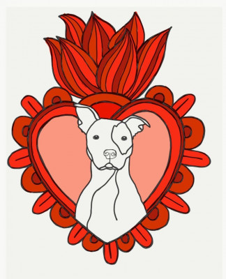 Yellow Dog Rescue Ranch - Pet Shelter and Rescue in San Antonio, Texas