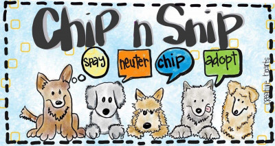 Chip N Snip - Pet Shelter and Rescue in Baytown, Texas