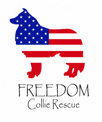 Freedom Collie Rescue - Pet Shelter and Rescue in Sugar Land, Texas