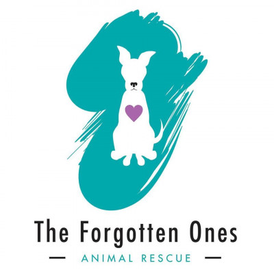 The Forgotten Ones Animal Rescue - Pet Shelter and Rescue in Midlothian, Texas
