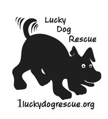 Lucky Dog Rescue Inc - Pet Shelter and Rescue in Pleasanton, California