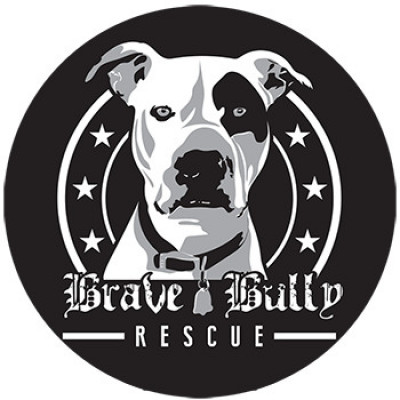 Brave Bully Rescue - Pet Shelter and Rescue in Houston, Texas