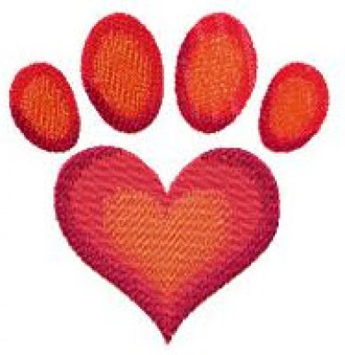 365 Pet Connection - Pet Shelter and Rescue in Bee Cave, Texas