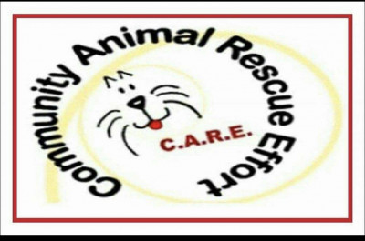 C.A.R.E. Community Animal Rescue Effort - Pet Shelter and Rescue in Mingus, Texas