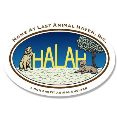 Home At Last Animal Haven  [HALAH] - Pet Shelter and Rescue in Godley, Texas