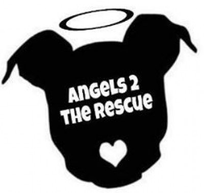 Angels 2 The Rescue - Pet Shelter and Rescue in Oak Point, Texas