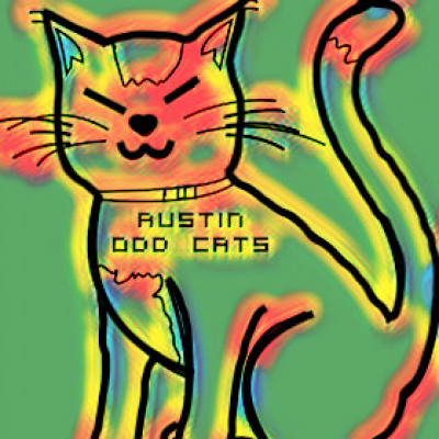 Austin Odd Cats - Pet Shelter and Rescue in Austin, Texas