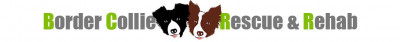 Border Collie Rescue & Rehab Of Texas - Pet Shelter and Rescue in Lucas, Texas