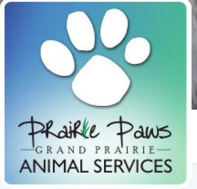 Grand Prairie Animal Services - Pet Shelter and Rescue in Grand Prairie, Texas
