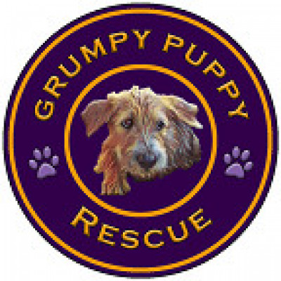Grumpy Puppy Rescue Inc. - Pet Shelter and Rescue in Glenmora, Louisiana