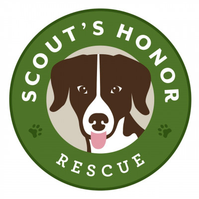 Scouts Honor Rescue Inc. - Pet Shelter and Rescue in Houston, Texas