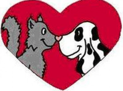 The Haven Animal Care Shelter - Pet Shelter and Rescue in Lubbock, Texas