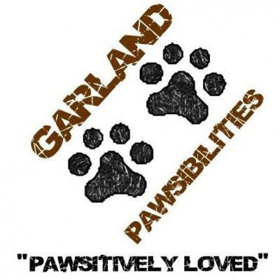 Garland Pawsibilities - Pet Shelter and Rescue in Garland, Texas