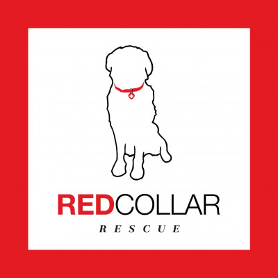 Red Collar Rescue - Pet Shelter and Rescue in Houston, Texas