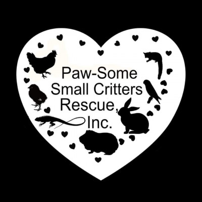 Paw-Some Small Critter Rescue, Inc. - Pet Shelter and Rescue in Lake Jackson, Texas