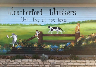 Weatherford Whiskers - Pet Shelter and Rescue in Weatherford, Texas